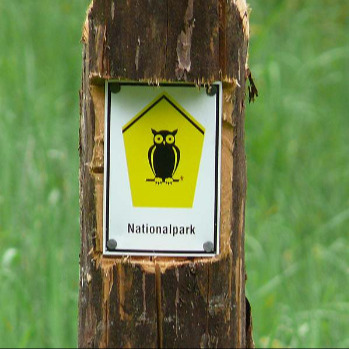 Müritz-Nationalpark