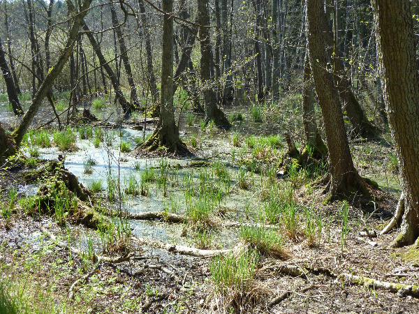 Runde zum Havelstein