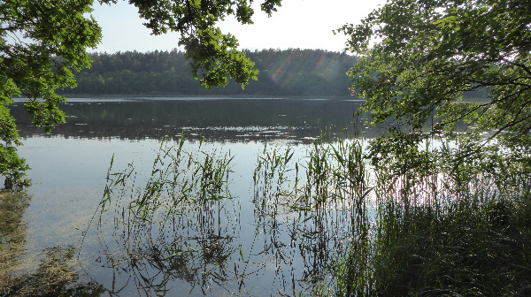 Runde um den Jamelsee